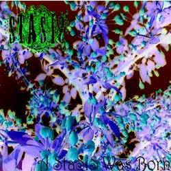 Stasis : A Stasis Was Born